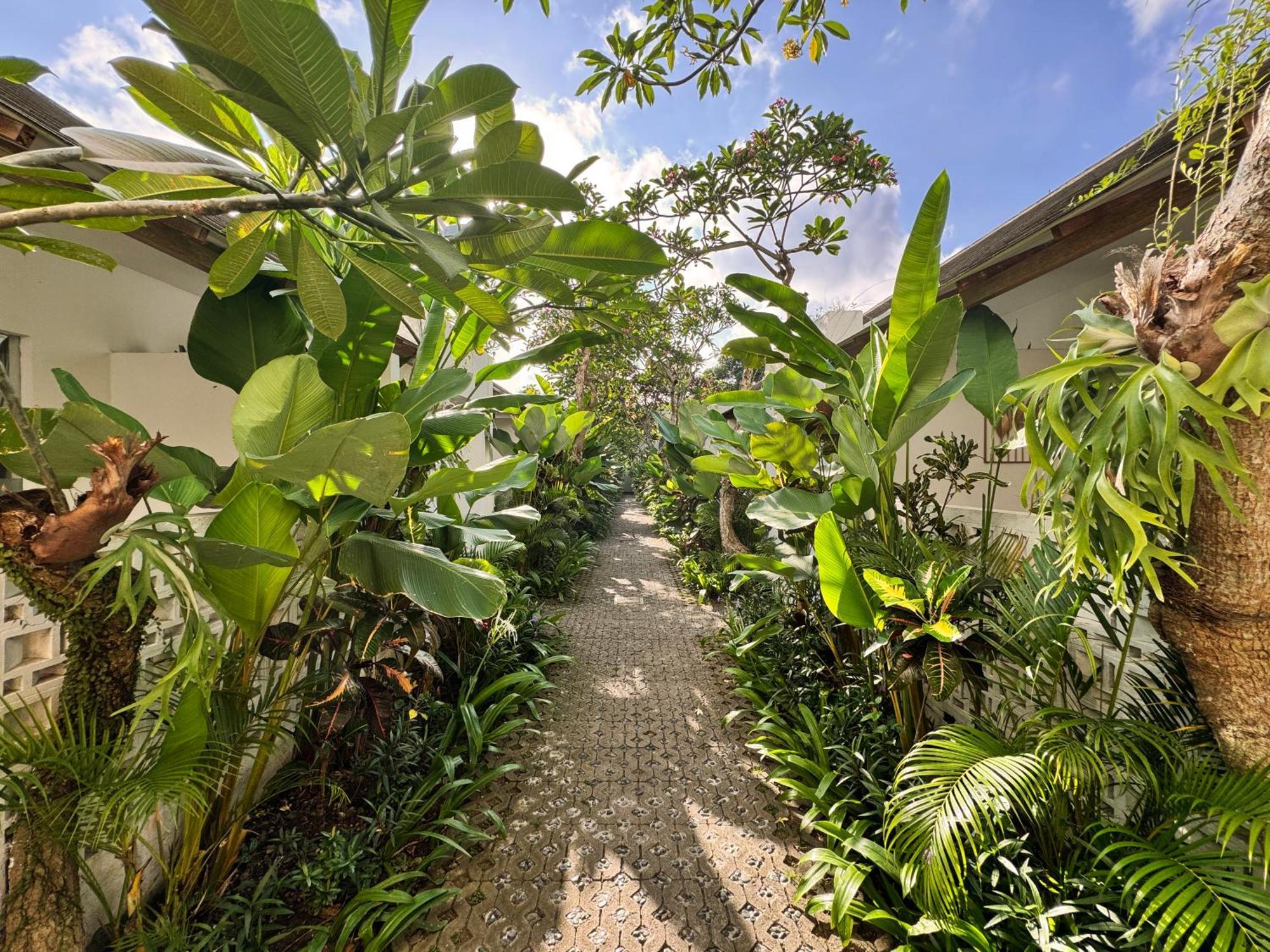 Lubdhaka Canggu Luaran gambar